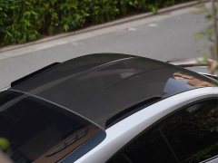 Porsche 911 GT3 RS 4.0L - photo 12