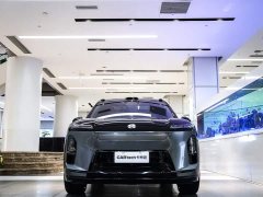 NIO ES8 Six-Seat Executive Signature Edition - фото 4