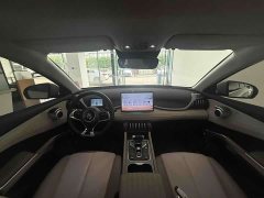 BYD Yuan Plus Glory Edition 510KM Transcend - ფოტო 9