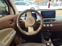 Wuling Hongguang MINIEV Fourth Generation Four-Door Premium Plus Edition - фото 6