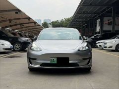 Tesla Model 3 Standard Range RWD Upgrade - ფოტო 2