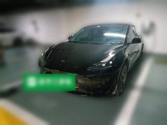 Tesla Model 3 Standard Range RWD Upgrade 3D6 - ფოტო 1