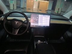 Tesla Model 3 Standard Range RWD Upgrade 3D6 - ფოტო 10