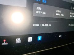 Tesla Model 3 Standard Range RWD Upgrade 3D6 - ფოტო 13