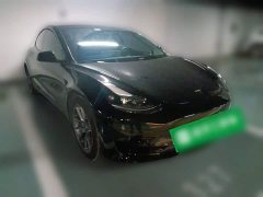 Tesla Model 3 Standard Range RWD Upgrade 3D6 - ფოტო 3