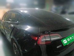 Tesla Model 3 Standard Range RWD Upgrade 3D6 - ფოტო 4
