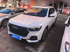 Haval H6 National Trend Edition 1.5T Automatic Urban Version - ფოტო 1