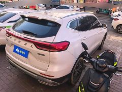 Haval H6 National Trend Edition 1.5T Automatic Urban Version - ფოტო 3