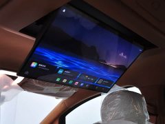 FAW Hongqi HQ9 PHEV 2.0T 4WD Luxury Edition - photo 16