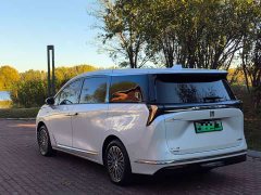 Buick GL8 New Energy Luxe Premium 7-Seater - photo 9
