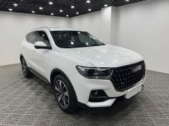 Haval H6 National Trend Edition 1.5T Automatic Champion Version - ფოტო 1