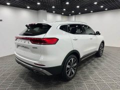 Haval H6 National Trend Edition 1.5T Automatic Champion Version - ფოტო 7