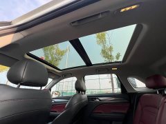 GAC Aion GS4 PLUS 270T Automatic Starry River Edition - photo 19