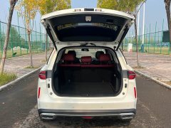 GAC Aion GS4 PLUS 270T Automatic Starry River Edition - photo 5
