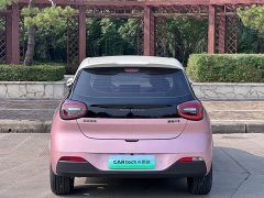 Dongfeng Nammi 01 430 Ultra - ფოტო 4