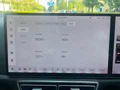 Li Auto L8 Pro - ფოტო 15