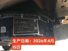 Wuling Hongguang MINIEV GAMEBOY 300km Fun Edition LFP Battery - ფოტო 9