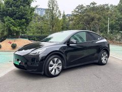 Tesla Model Y Long Range All-Wheel Drive - ფოტო 1