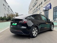 Tesla Model Y Long Range All-Wheel Drive - ფოტო 10