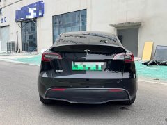 Tesla Model Y Long Range All-Wheel Drive - ფოტო 11