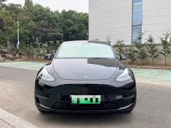 Tesla Model Y Long Range All-Wheel Drive - ფოტო 2