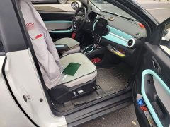 Chery Ant 200,000 Ant Fans Edition Vitality Version Ternary Lithium 408km - ფოტო 19