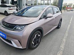 BYD Dolphin 405km Fashion Edition - ფოტო 1