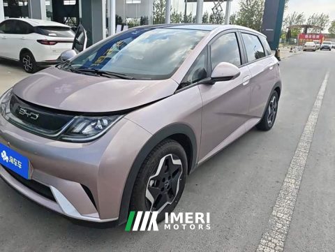 2022 BYD Dolphin 405km Fashion Edition - car from China