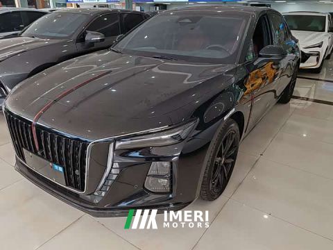 2024 Hongqi H5 2.0T Automatic Mystic Shadow Edition