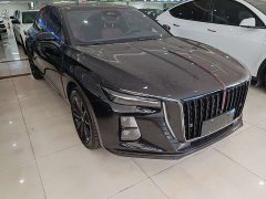 FAW Red Flag H5 2.0T Automatic Mystic Shadow Edition - фото 3