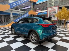 Haval Chitu Jingxiang Edition 1.5T Purple Copper Rabbit - фото 6