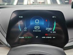 BYD Yuan Plus Glory Edition 430KM Leading - ფოტო 13