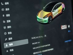 Tesla Model 3 Rear-Wheel Drive - ფოტო 5
