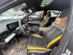 Trumpchi Leopard 270T DCT J10 Flying Man Edition - фото 7