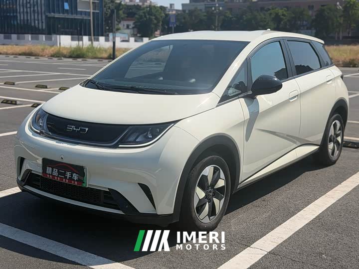 BYD Dolphin 420km Freedom Edition - ავტომობილი ჩინეთიდან