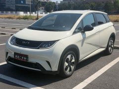 BYD Dolphin 420km Freedom Edition - ფოტო 1