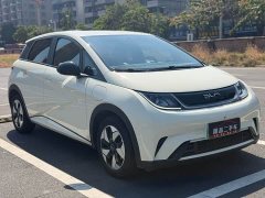 BYD Dolphin 420km Freedom Edition - ფოტო 3