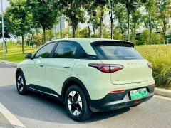 Geely Xing Yuan 310km Dream Edition - photo 9