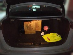 Geely Galaxy L6 125km PLUS Longteng Edition - photo 15