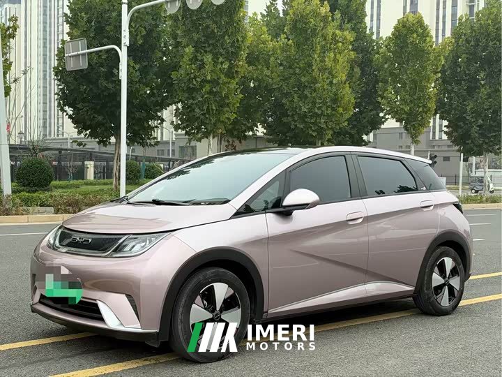 BYD Dolphin 420km Fashion Edition - ავტომობილი ჩინეთიდან