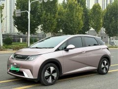 BYD Dolphin 420km Fashion Edition - ფოტო 1