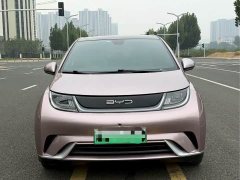 BYD Dolphin 420km Fashion Edition - ფოტო 2