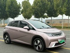 BYD Dolphin 420km Fashion Edition - ფოტო 3