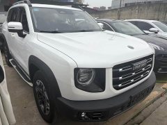 Great Wall Dachshund 2.0T DCT Four-Wheel Drive Chinese Rural Dog Edition - photo 3