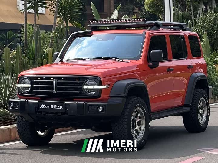 Tank 300 Off-Road Edition 2.0T Conqueror - ავტომობილი ჩინეთიდან