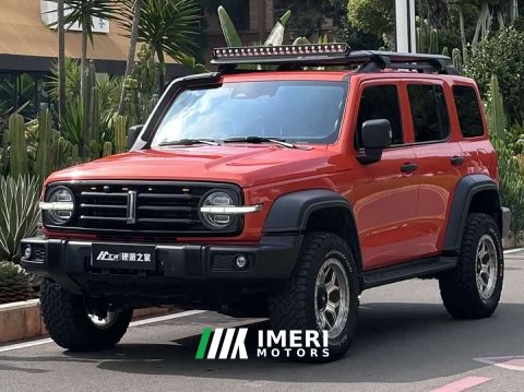 2021 Tank 300 Off-Road Edition 2.0T Conqueror - ავტომობილი ჩინეთიდან