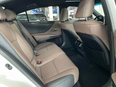 Lexus ES 200 Excellence Edition - ფოტო 9
