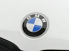 BMW 3 Series 325i M Sport Night Edition Package - ფოტო 10