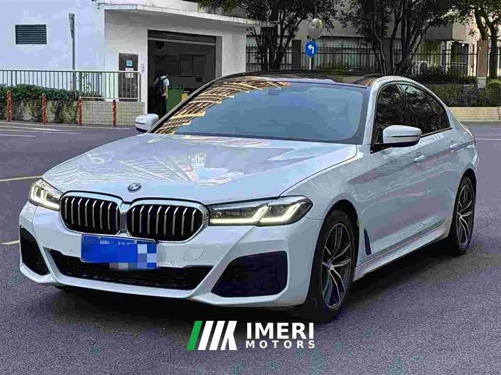 BMW 5 Series (Imported) 525i M Sport Package - car from China