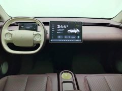 Nio Firefly Luminous Edition - ფოტო 12